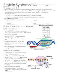 Protein Synthesis Issaquah Connect