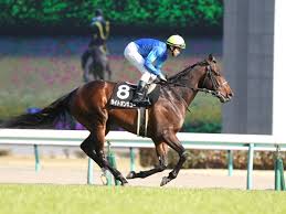 Manage your video collection and share your thoughts. R7uhygz1mtz9fm