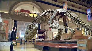 Rexy | Night At The Museum Wiki | Fandom