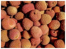 We did not find results for: Lychee Health Benefits And Interesting Recipes Lychee Recipes