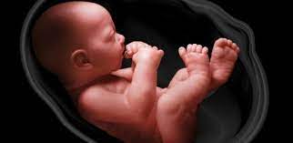 1 bayi dalam kandungan usia kehamilan 14 minggu. 12 Penyebab Gerakan Janin Berkurang Yang Patut Diwaspadai Theasianparent Indonesia