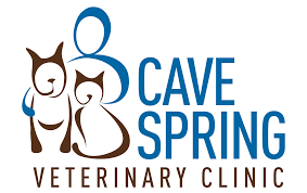 | veterinary services for dogs and cats intensive care service. Home Cave Spring Veterinary Clinic
