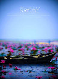 1500 Picsart Background Download 2020 Cb Editz Picsart Background Background Images Hd Wedding Background Images See more ideas about picsart background new background 2020 hii dosto aaj main aapke liye le kar aaya hu new background ye sab background full hd me hai guys es backgroun. 1500 picsart background download 2020