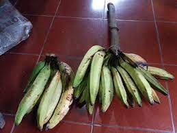 September 13 at 1:59 pm ·. File Pisang Tanduk Agung Jpg Wikimedia Commons