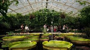 Hier finden sie informationen zu öffnungszeiten, eintrittspreisen, führungen, mietbaren räumen sowie wissenswertes und amüsantes. Royal Botanic Gardens Kew Garten Visitlondon Com