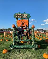 We are open from october 3rd through october 31st from 9am to 7pm. Pumpkin Patch Autumn Flower Mound Pumpkin Patch Pumpkin Patch Games Pumpkin Farm