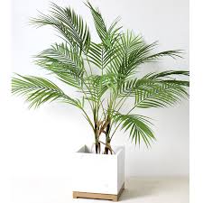 Importance of light for plants Multiple Green Artificial Palm Leaf Plastic Plants Garden Home Outdoor Decorations Scutellaria Tropical Tree Fake Plants Artificial Plants Aliexpress