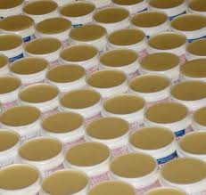 Image result for Egyptian Cream 1977 Hussmann