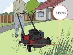 4 Ways To Help Prevent Bushfires - Wikihow