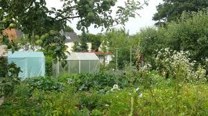 Schauen sie sich einfach um! Schrebergarten In Neuss Zu Verkaufen Schrebergarten Garten Kleiner Garten