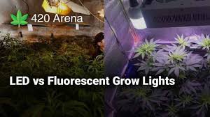 Maybe you would like to learn more about one of these? Led Grow Lights Vs Fluorescent Grow Lights Which Is The Best Grow Light For Growing Weed