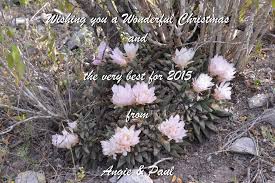 See 141 traveler reviews, 66 candid photos, and great deals for bajacactus motel, ranked #1 of 2 hotels in el rosario and just google: 2008 Baja California The Cactus Trip Diaries