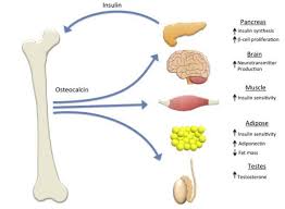 Acute complications can include diabetic ketoacidosis, hyperosmolar hyperglycemic sta. Vitamin K2 Substantially Reduces Risk Of T2 Diabetes 7 Percent For Every 10 Ug Review Nov 2017 Vitamindwiki