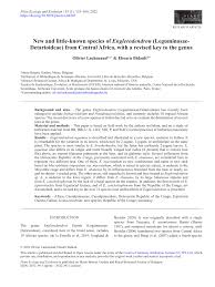 Image result for Englerodendron