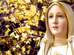 Déborah de robertis sorprendió a los fieles durante una procesión y quedó detenida por exhibición sexual en el santuario francés. Best 50 Virgen Wallpaper On Hipwallpaper Virgen De Guadalupe Cholo Wallpapers Virgen De Guadalupe Backgrounds And Virgen Wallpaper