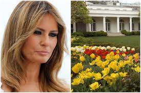 Gardens are symbols of growth and hope, she said. Petition To Reverse Melania Trump S White House Rose Garden Changes Passes 50k Signatures