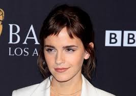 See Emma Watson on Her First Red Carpet Since Retirement Rumors