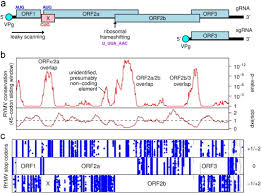 F1 live grand prix streaming service An Essential Fifth Coding Orf In The Sobemoviruses Sciencedirect