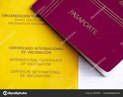 International certificate of vaccination and passport — Stock Photo ©  alexat25 #163078046
