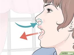 How to sing from your diaphragm wikihow. 4 Ways To Breathe Properly For Singing Wikihow