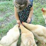 Image result