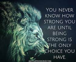 10 Brilliant Motivational Quotes I Truly Believe In Warrior Quotes Fighter Quotes Lioness Quotes