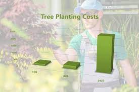 Jul 08, 2021 · the cost to seed a lawn is between $450 and $900. Tree Planting Cost 2019 A P Nursery