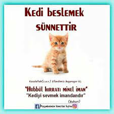 pin von idil seyhan auf peygamberimizin sunnetleri katzen katzenbilder katzen tattoo