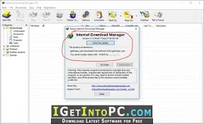 Idm lies within internet tools, more precisely download manager. Internet Download Manager 6 31 Build 7 Idm Free Download