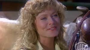 Dallas (TV Series 1978–1991)