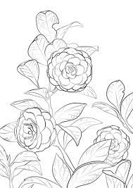 coloriage camelia du japon coloriages a imprimer gratuits produits mes premiers marqueurs lavables crayola de