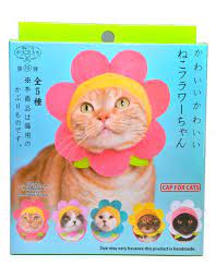Flower Cat Cap Blind Box Multi Kc 051 In 2021 Cat Hat Cat Clothes Kitty