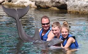 Sizden otelde şu ücretleri ödemeniz istenecektir: Dove Creek Resort Home Facebook