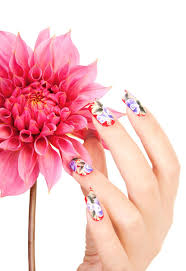 37 tenby drive, nashua, nh 03062. Ava Nails Designs Home Facebook