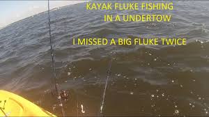 Fluke Summer Flounder Raritan Bay