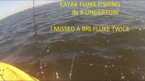 fluke summer flounder raritan bay