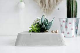 Small rectangular concrete succulent planter. Diy Concrete Planter Box For Succulent Plants