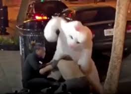 How do you say bunny in spanish? Orlando S Viral Easter Bunny Hero Arrested For Hit And Run In Bunny Suit Blogs