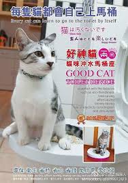不需要貓砂 不需要貓砂鏟 輕鬆與愛貓生活健康幸福 cool cats cats animals