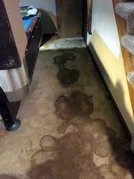 This is definitely a situation that has to be resolved as quickly as possible. Bad Smell In Basement Could Be Sign Of Damage In Home Abt Foundation Solutions Inc