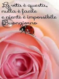 Un bellissimo mazzo di fiori renderà il tuo pensiero molto apprezzato. 45 Buongiorno Con I Fiori Immagini Da Mandare Lebelleimmagini It