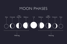 The cancer moon is changeable and might run hot or cold. Moon Astrology Astrology Askastrology