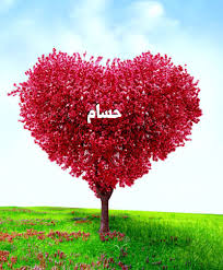 صور اسم حسام اسم حسام رومانسي و متحرك كلام حب