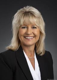 Wright State's new deans for the College of Health, Education and Human  Services, Raj Soin College of Business