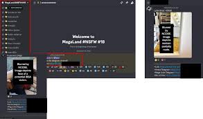 Discord - NCOSE