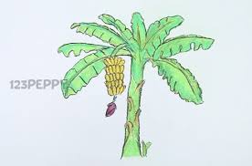 Banana cartoon drawing at paintingvalley com explore collection of. How To Draw Banana Tree For Kids Drawing For Kids