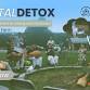 Digital Detox Retreat