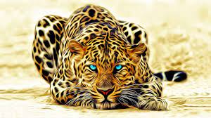 خلفيات كمبيوتر ثلاثية الأبعاد 3d wallpapers desktop backgrounds tecnologis leopard painting animal wall art paint by number kits