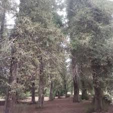 Maybe you would like to learn more about one of these? Carbon Canyon Regional Park Brea Ca California Beaches