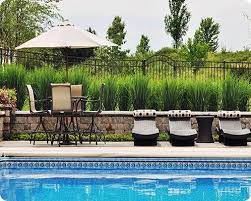 Check spelling or type a new query. Awesome Pool Fence Design Ideas Backyard Pool Landscaping Backyard Pool Pool Landscaping